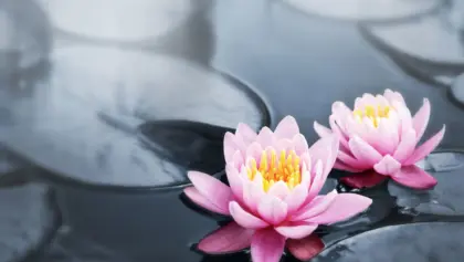 Depositphotos 4466035 original