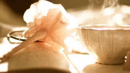 Carli jeen 15 Y Df39 RI Vc unsplash2