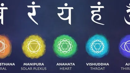 Chakras11b