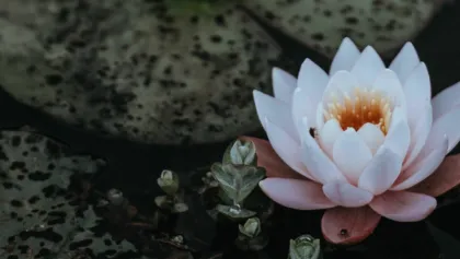 Annie spratt e7ci ME0 PXKE unsplash 2025 04 30 145612 wuku