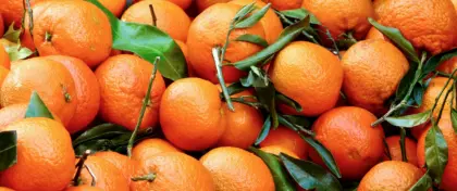 Sacral Chakra Header