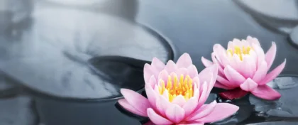 Depositphotos 4466035 original