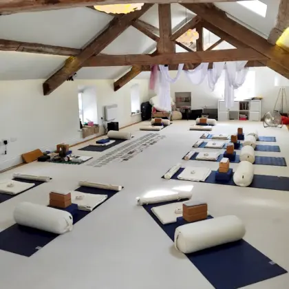 Restorative Yoga Studio & Kit
