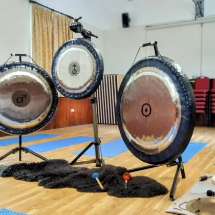 Llanrhos Gongs