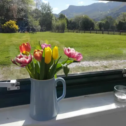 Trigonos Modron Studio View